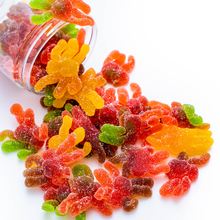 Load image into Gallery viewer, Spooky Spiders *HALLOWEEN COLLECTION*