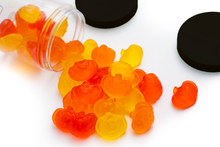 Load image into Gallery viewer, Pickin' Pumpkins *HALLOWEEN COLLECTION*