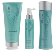Load image into Gallery viewer, Scalp & Hair System Kit