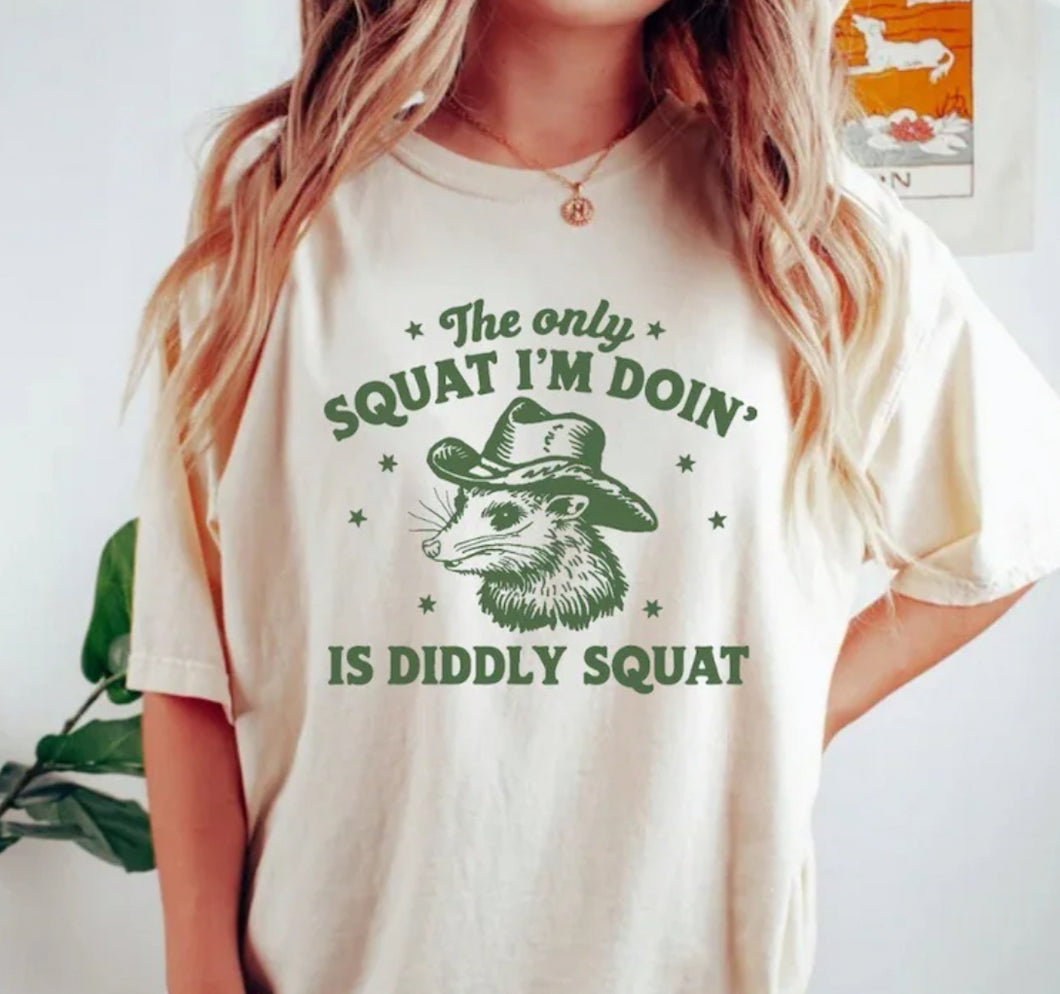 Diddly Squat