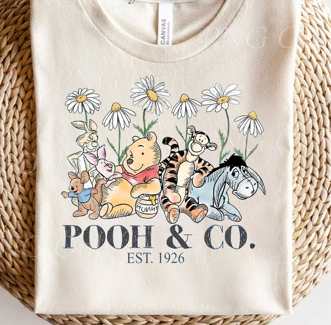 Pooh & Co