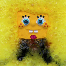 Load image into Gallery viewer, Sea Sponge
